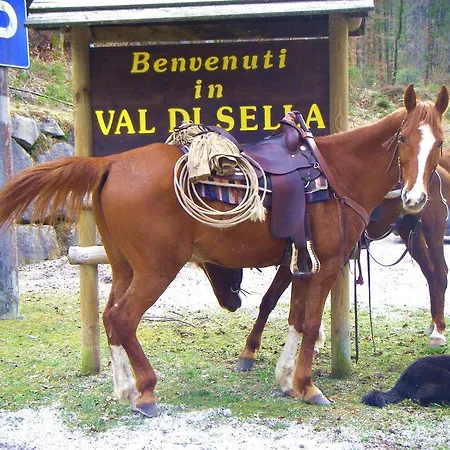 Garni Sella Cipriani Borgo Valsugana